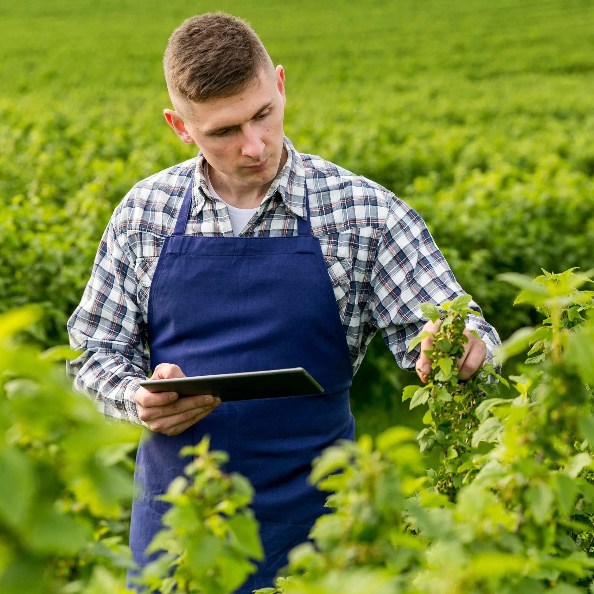 Agricultural Surveys